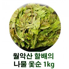 월악산 할배의 나물 옻순 1kg