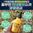 수수리 두피토너 100ml