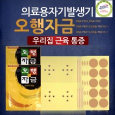 오행자금 의료용자기발생기
