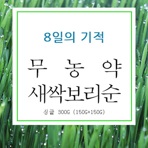 8일 새싹보리순 싱글 300g(150g+150g)