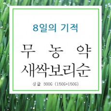 8일 새싹보리순 싱글 300g(150g+150g)