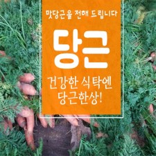 창원 흙당근 1박스 5kg