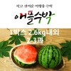 애플수박 1박스 2.6kg 내외 (2~3과)
