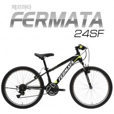 [지오닉스] 2019 뮤트 MTB 24