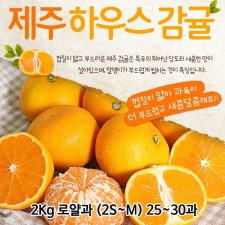제주도 하우스감귤 2Kg 로얄과 (2S~M) 25~30과