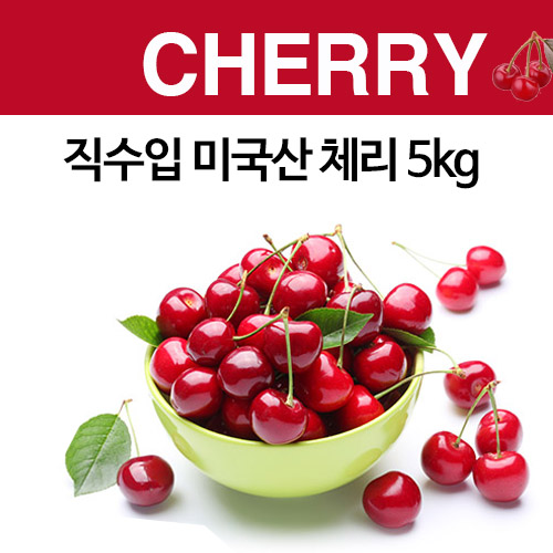 직수입 미국산 체리 5kg
