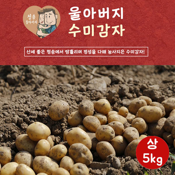 울아버지 수미 감자 수미 상5k