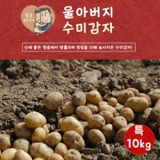 울아버지 수미 감자 수미 특10k