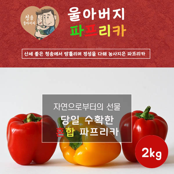 울아버지 이색 파프리카 2k (9과내외)