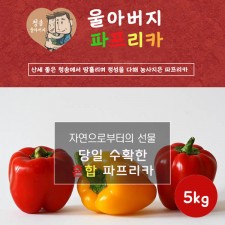 울아버지 이색 파프리카 5k(25과내외)