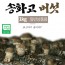 버섯돌이 송화 버섯 일반상품 1kg