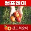 천도왕자 썬프레이 1박스 2K (14과 내외)