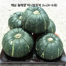 해남 늘해랑 미니밤호박 2kg(4~6과)