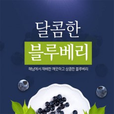 해남 늘해랑 블루베리 생과  2kg