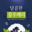 해남 늘해랑 블루베리 생과  2kg
