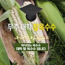 무주대학찰옥수수 1박스 20입