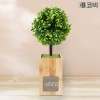 코비 BL60 대나무 LED 알람시계