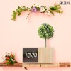 코비 BL70 대나무 LED 알람시계