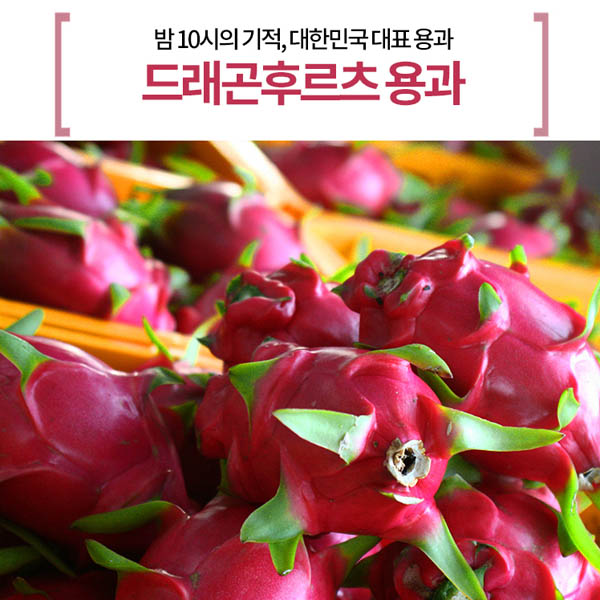 드래곤후르츠 용과 1박스 2k 3-6과