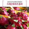 드래곤후르츠 용과 1박스 2k 3-6과