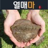 월악산할배 열매마 1박스 3k