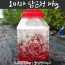 월악산할배 월악산오미자청10k(오미자5k+설탕5k)