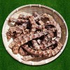 오리긴목뼈500g