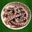 오리긴목뼈500g