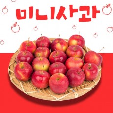 한입사과 미니사과 한박스 3kg (500g*6팩)