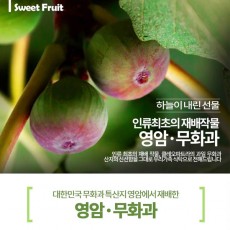 영암 무화과 1박스 2팩 1.5k 내외