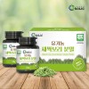 유기농 새싹보리분말 1 SET(30gx2ea) +스푼