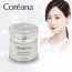 코리아나 헤로니아 하이드라 솔루션 듀얼 프리 영양크림 55g