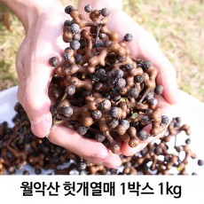 월악산 헛개열매 1박스 1kg