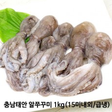 충남태안 알쭈꾸미 1kg(15미내외/급냉)