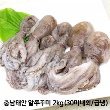 충남태안 알쭈꾸미 2kg(30미내외/급냉)