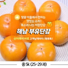 해남 부유 단감 중 5k (25-29 과)