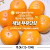 해남 부유 단감 특 5k (15-19과)
