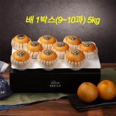 [20년 설] 행복한 농장 나주배 명작 선물세트 (9~10과) 5kg
