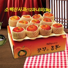 [20년 설] 고당도 소백산 사과 3kg (12과내외)