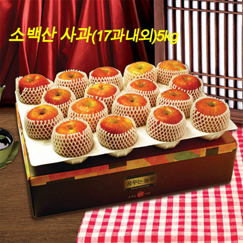 [20년 설] 고당도 소백산 사과 5kg (17과내외)