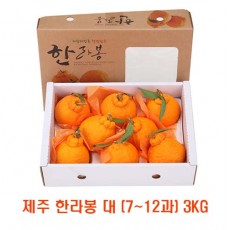 [면세]제주 한라봉 대 (7~12과) 3kg