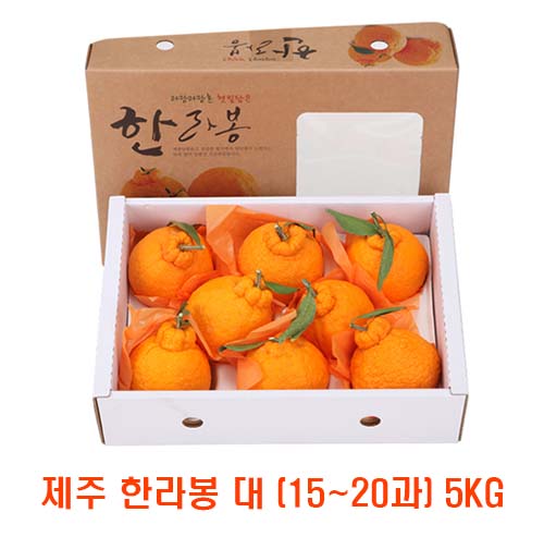 [면세]제주 한라봉 대 (15~20과) 5kg