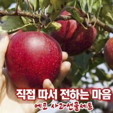 에코 사과선물세트 1박스 2kg (6개입)