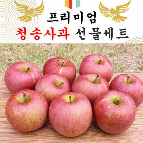 명품 사각 청송사과 선물셋트 1박스 24-28과(10k)