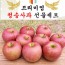 명품 사각 청송사과 선물셋트 1박스 24-28과(10k)