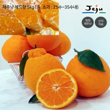 제주낭 레드향 5kg (중, 소과 : 25수~35수내)