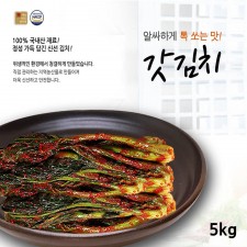 전라도사계절맛김치 갓김치 5kg
