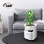 NEST 공기청정기 플렌트