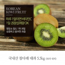 [A15-301]국내산 참다래 대과 5.5kg
