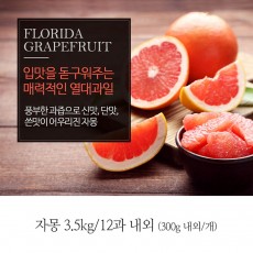 [A15-384]플로리다  자몽 300gx3.5kg
